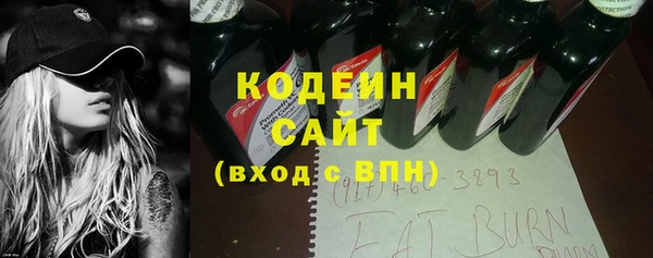 крисы Лабытнанги