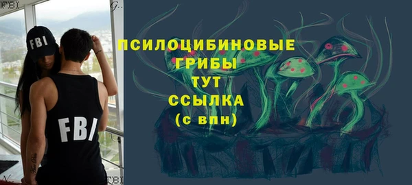 мет Ладушкин