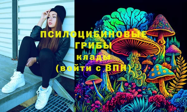 крисы Лабытнанги