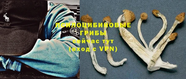 мет Ладушкин