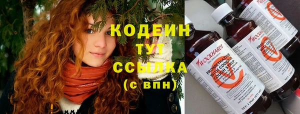крисы Лабытнанги