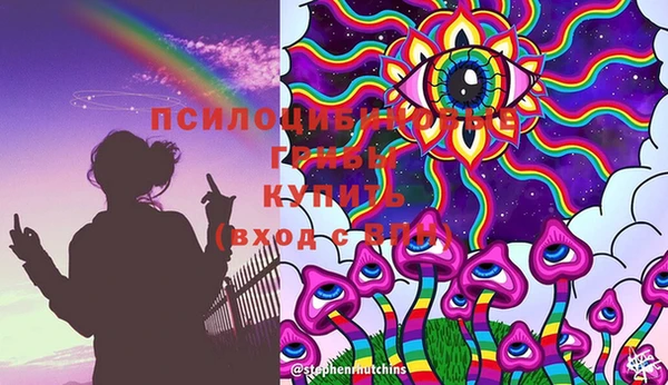 крисы Лабытнанги