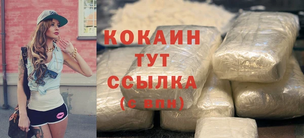 мет Ладушкин
