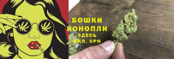 мет Ладушкин